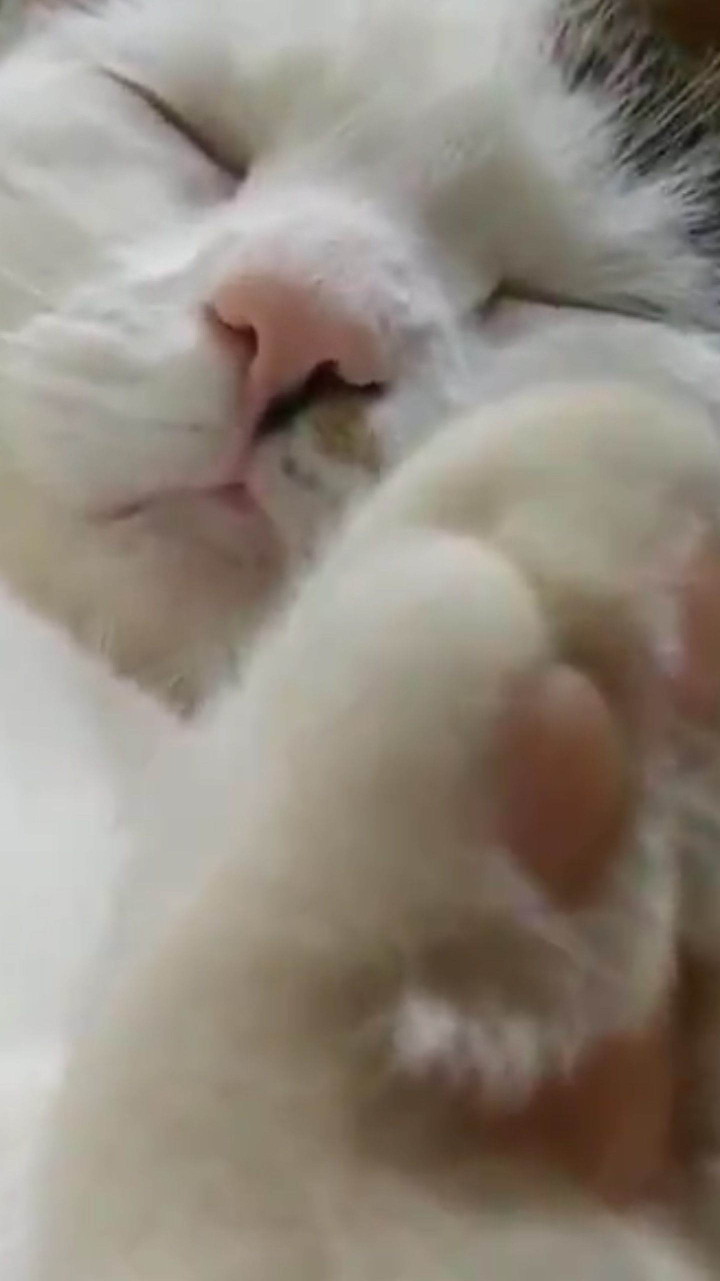 62