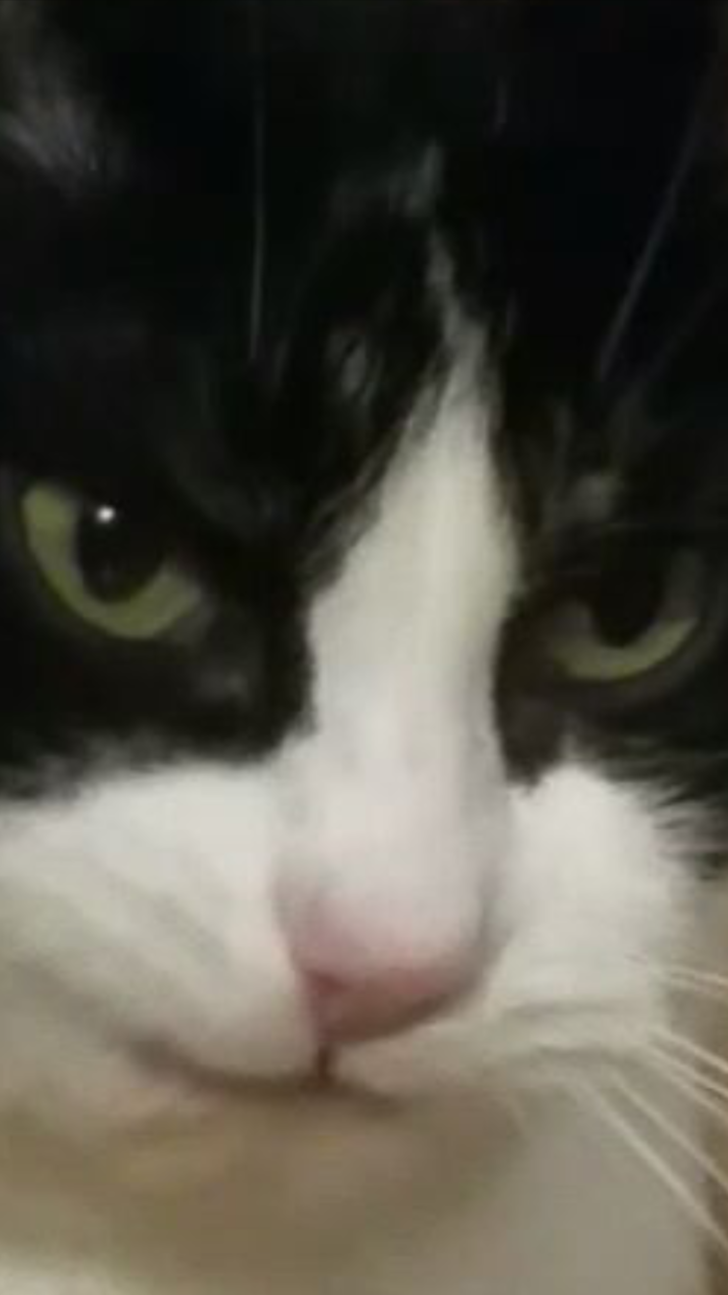 74