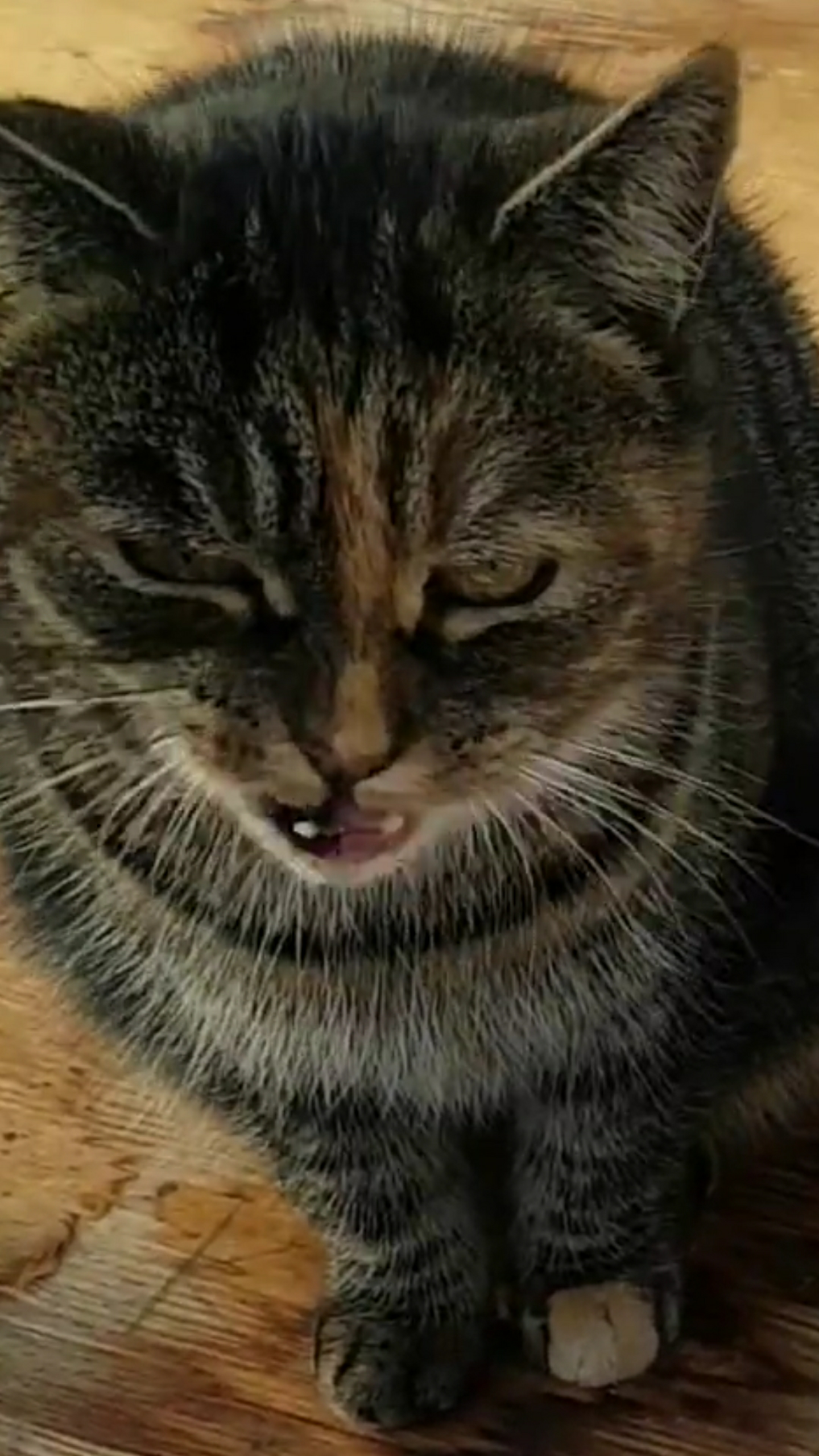 79
