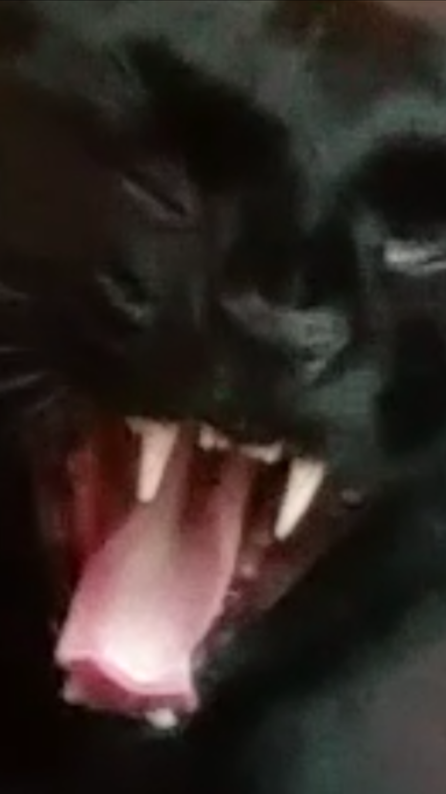 91