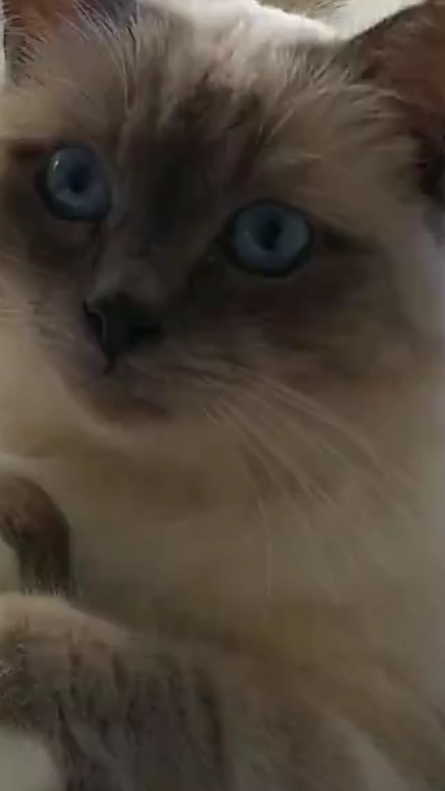 114