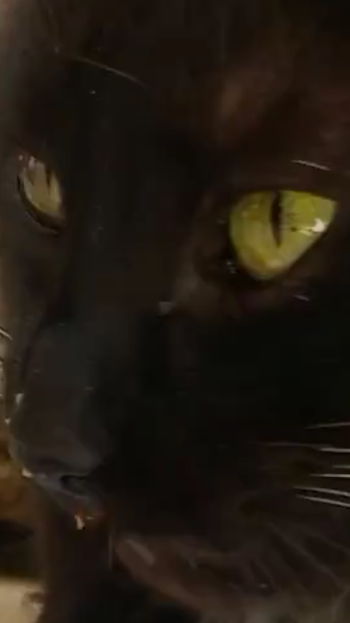 121