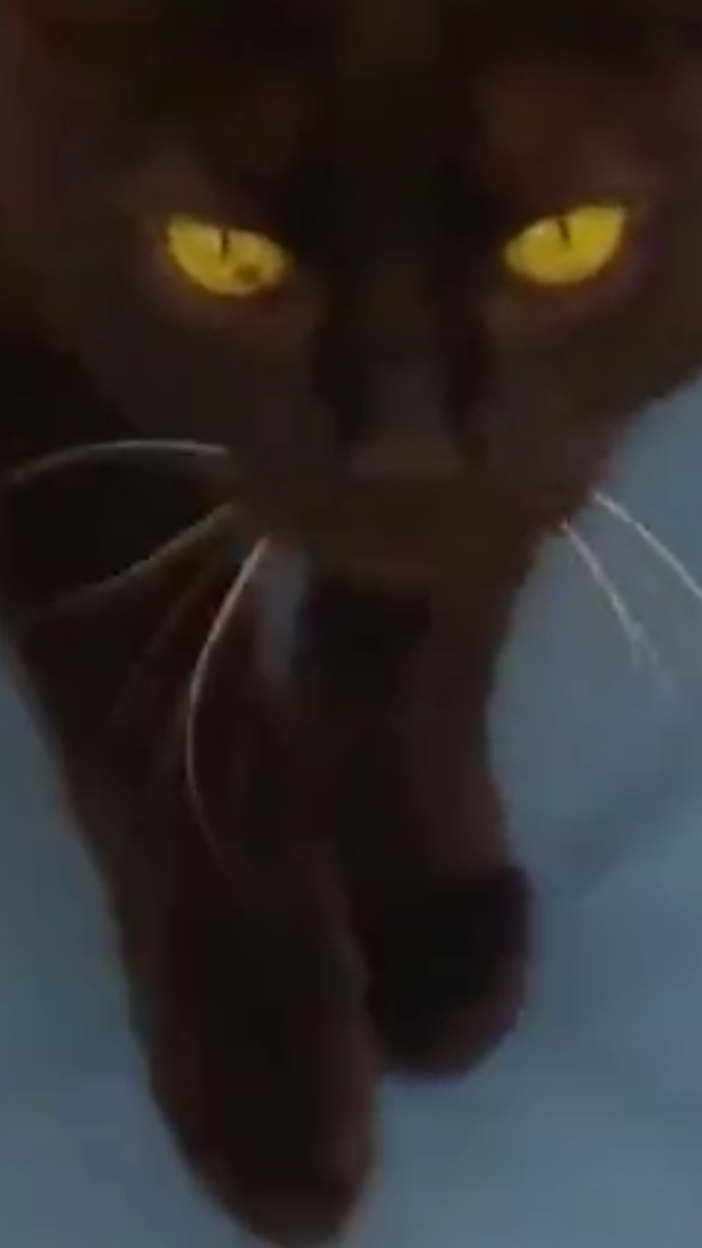 122